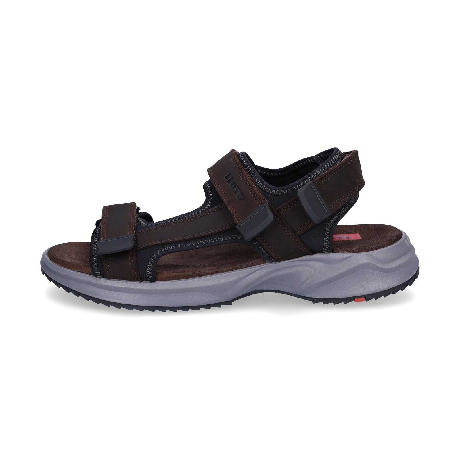 Lloyd men's sandal Echo brown