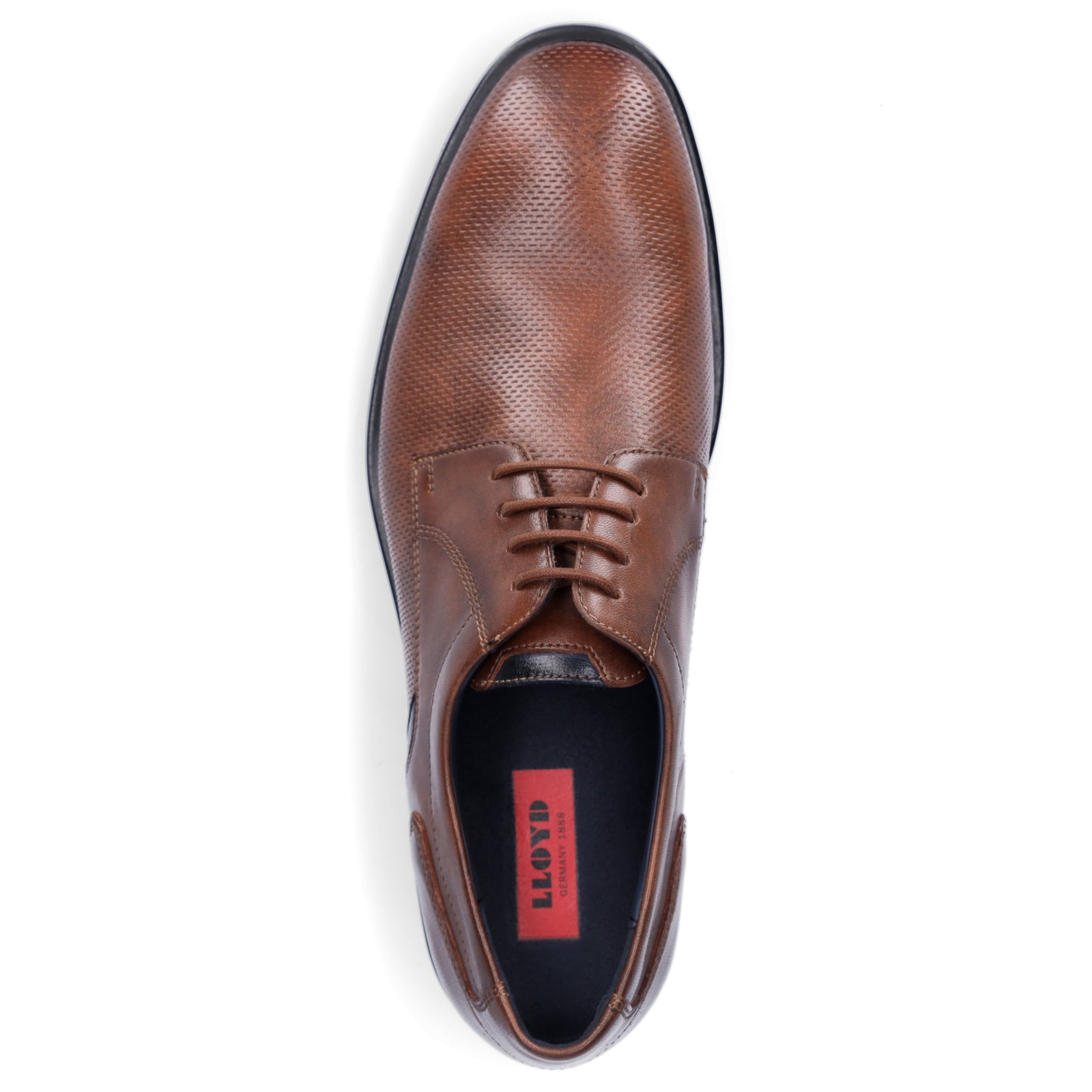 Lloyd men's business lace-up shoe brown