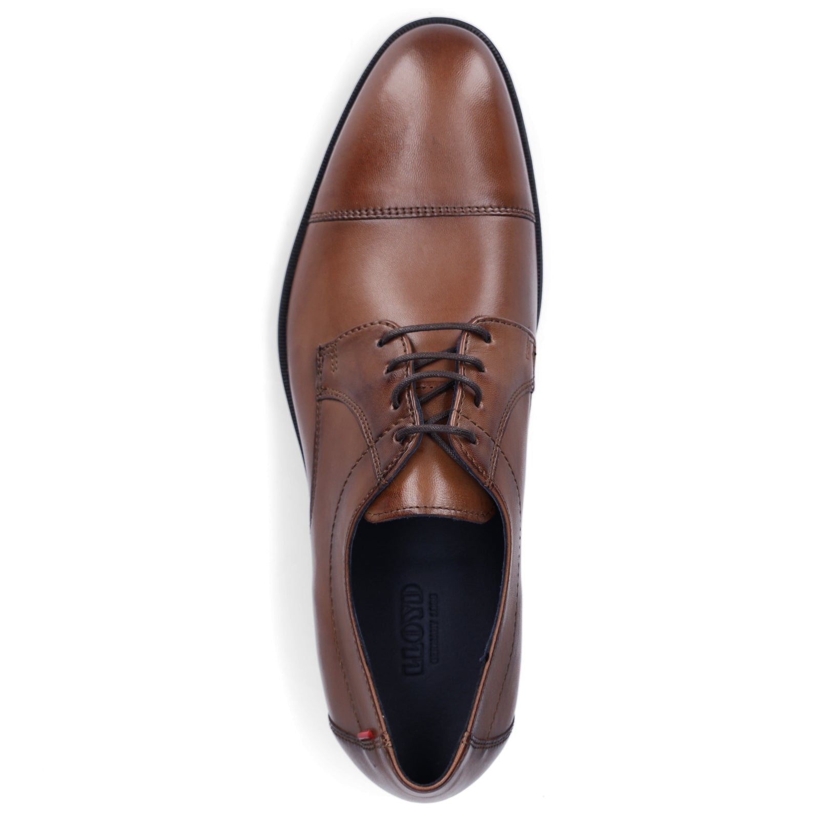 Lloyd men's business lace-up shoe brown