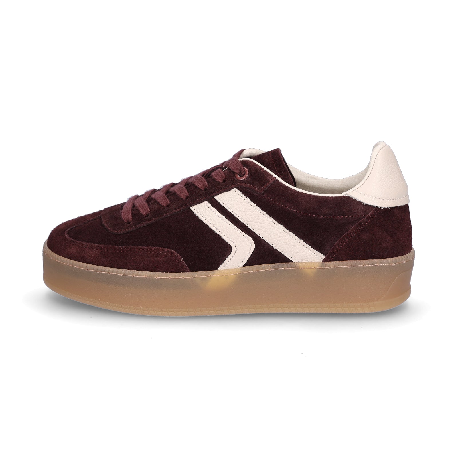 bordeaux/cream