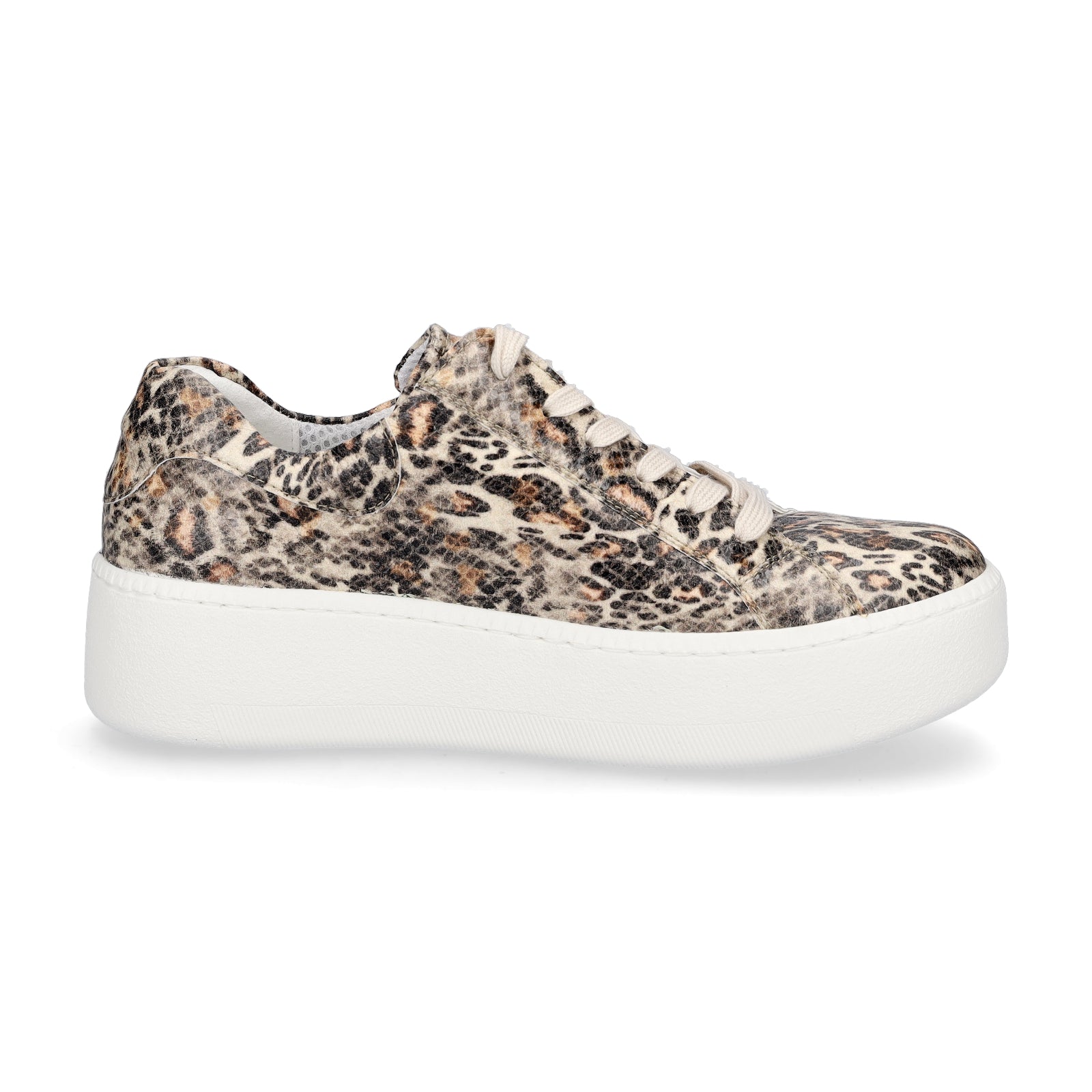 Waldläufer women's plateau sneaker Nicky taupe Leo