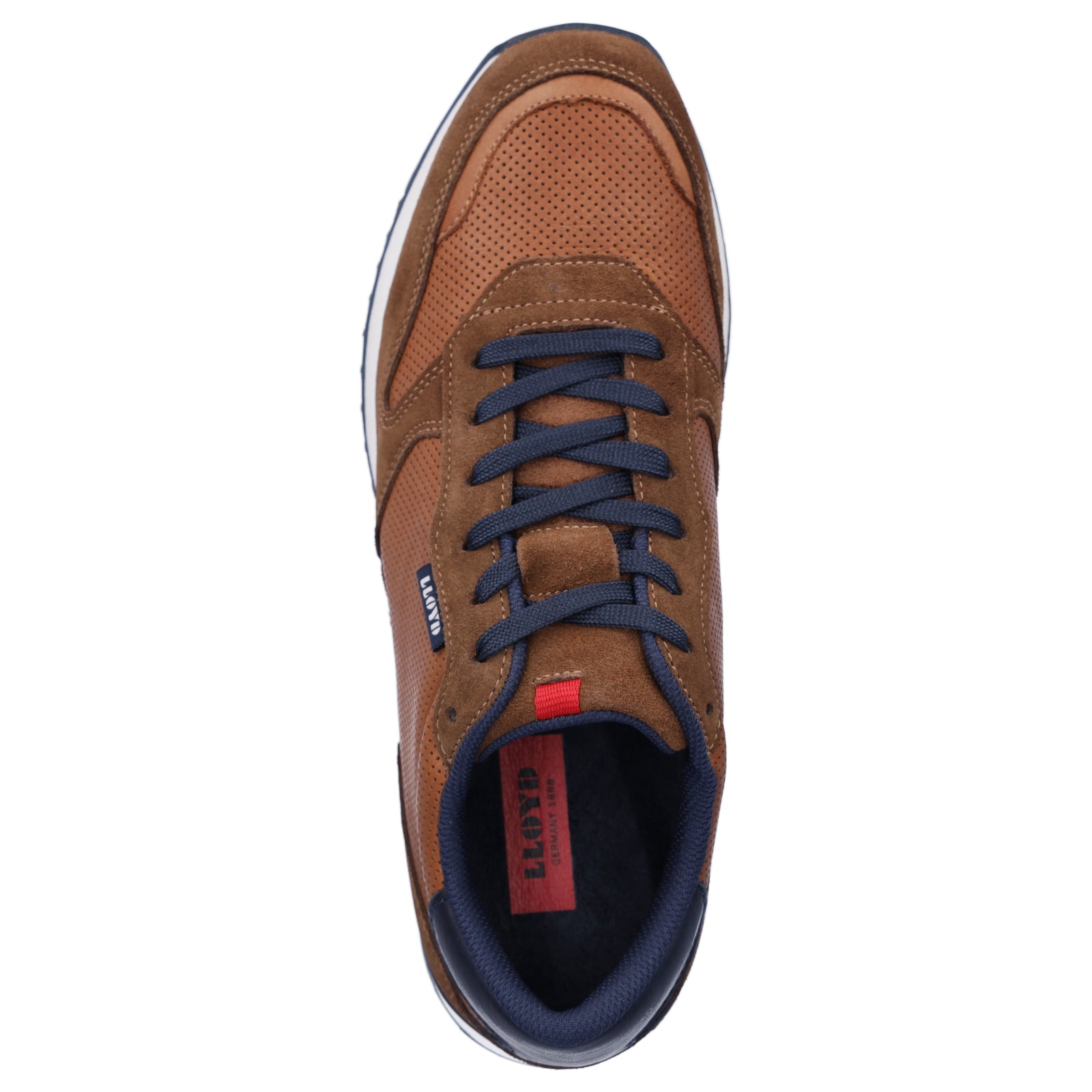 Lloyd men's sneakers brown