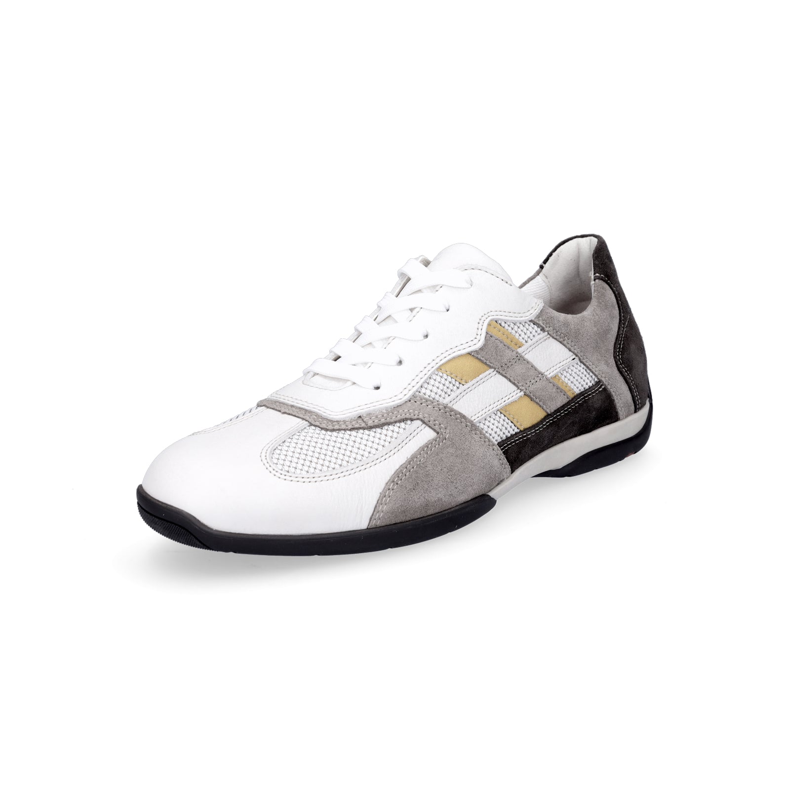 Lloyd men's sneakers multicolored