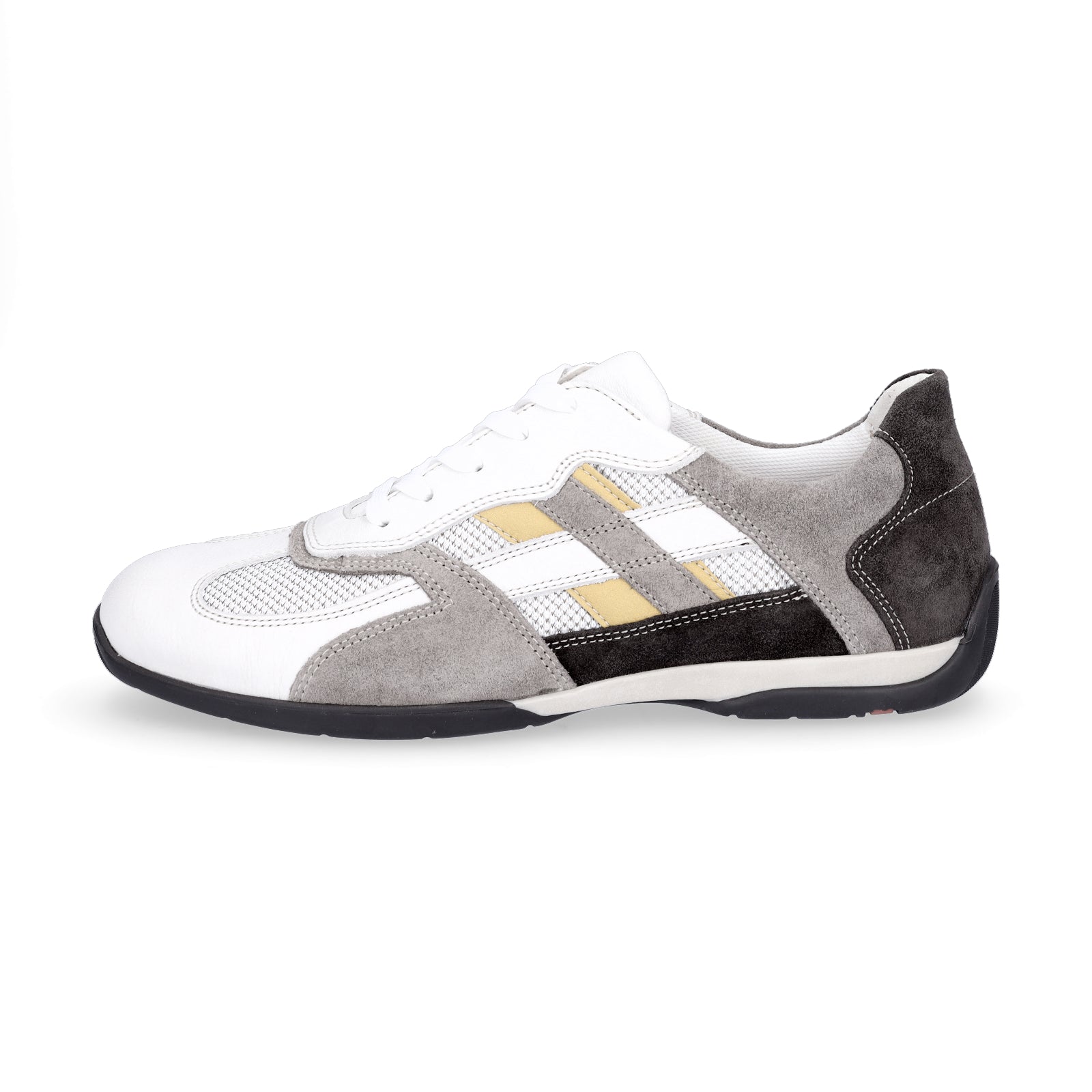 Lloyd men's sneakers multicolored